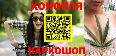 хмурый Тула
