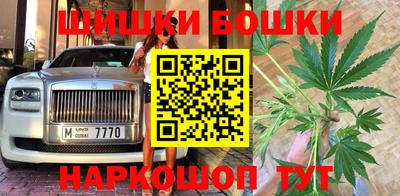 хмурый Тула