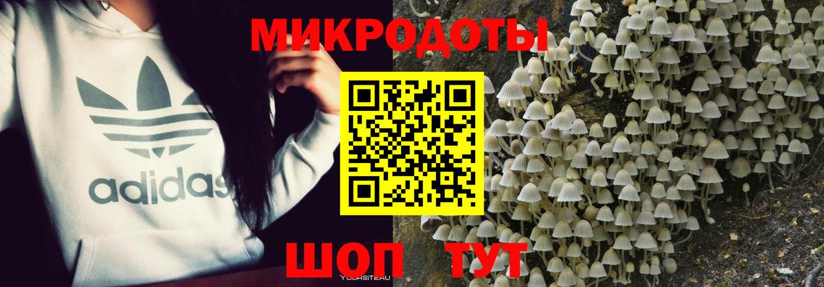 Галлюциногенные грибы Magic Shrooms Долгопрудный