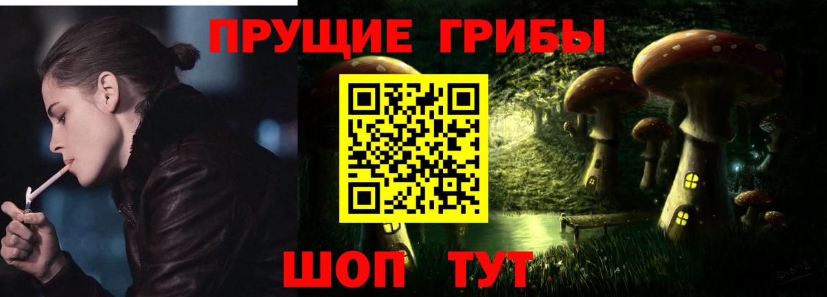 закладка  Галлюциногенные грибы GOLDEN TEACHER  Долгопрудный  Вход с VPN  Галлюциногенные грибы Psilocybe 